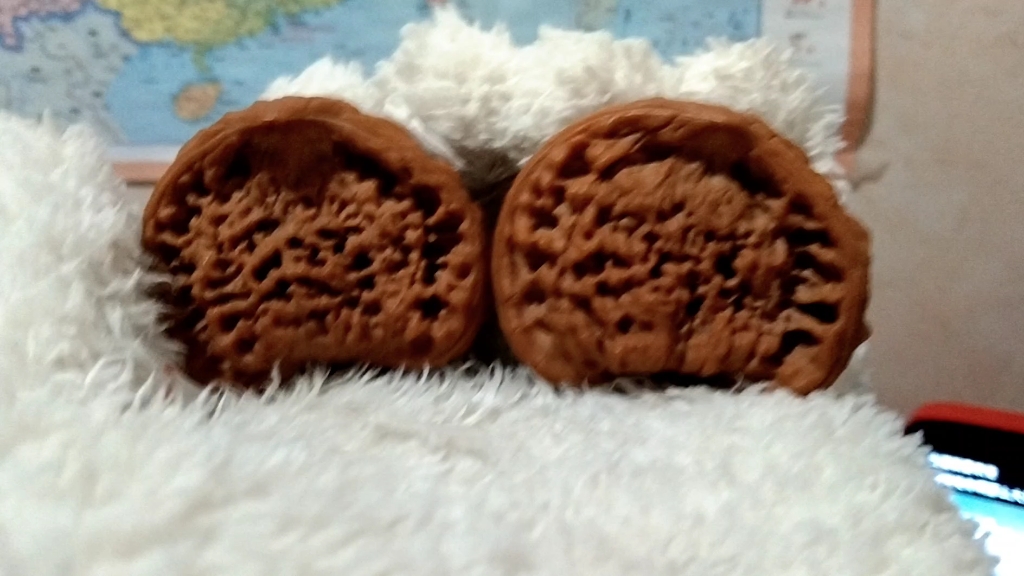 蛇头聚宝盆核桃,边46尺寸,福利128米出