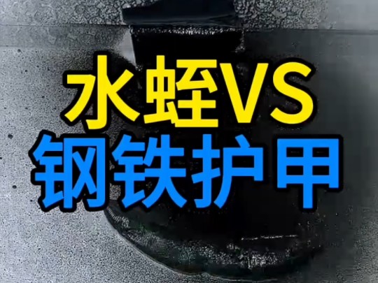 把一瓶钢铁喷漆喷到水蛭表面,水蛭会变得坚不可摧吗?哔哩哔哩bilibili