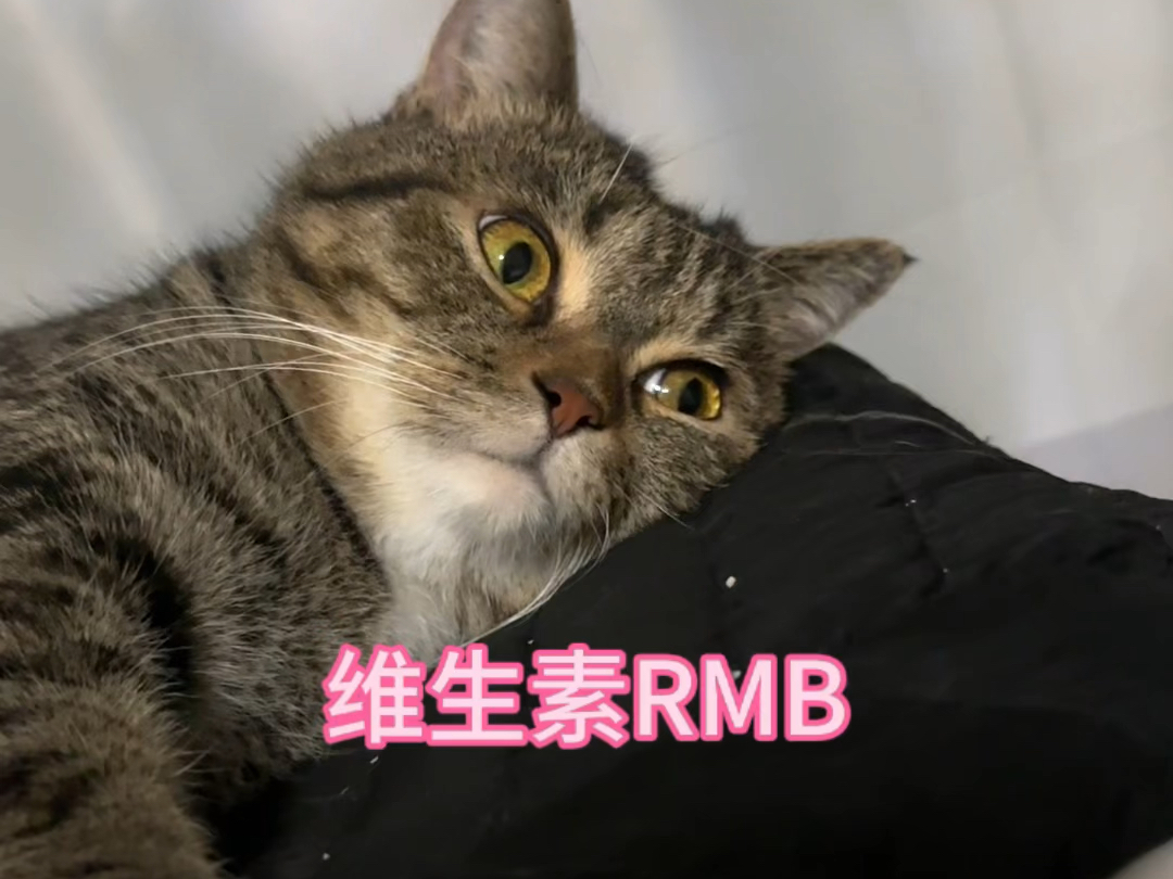 别说你了,我自己都有点缺维生素rmb