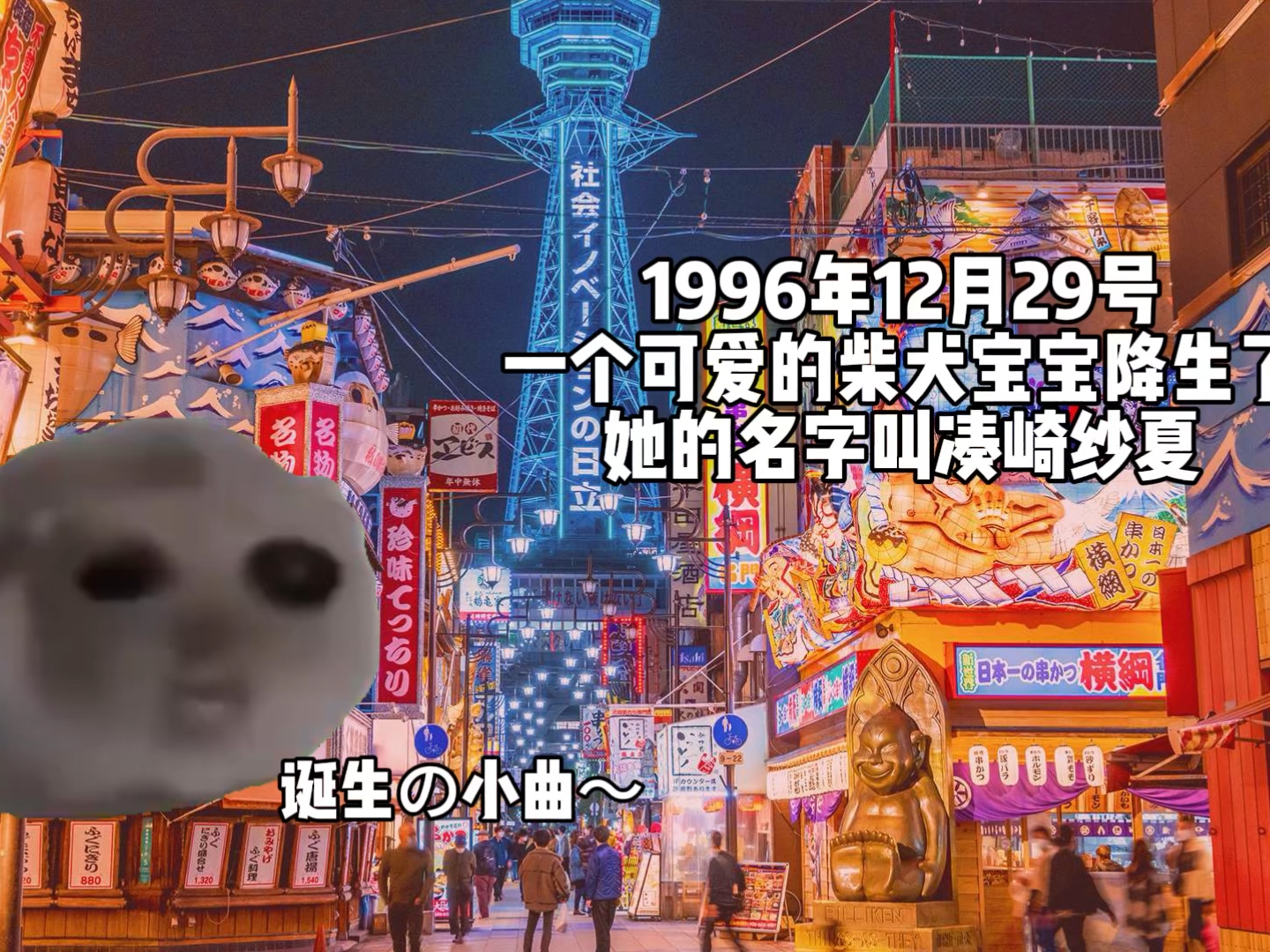 [图]【sana凑崎纱夏】用meme猫的方式打开凑崎纱夏出生至出道