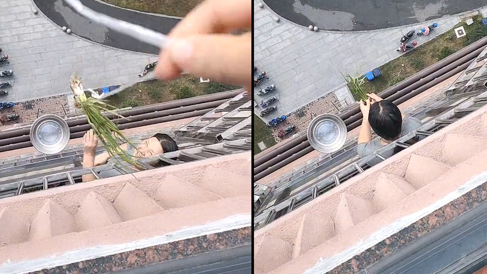 疫情期间无法串门女子从窗户外吊绳给楼下邻居送自家种的香葱