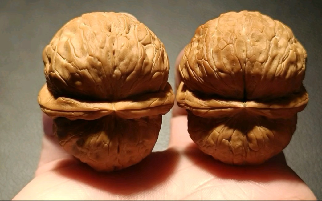 41mm,麒麟元宝龟背,矮桩平底,超肥龟背品相,少有的品相