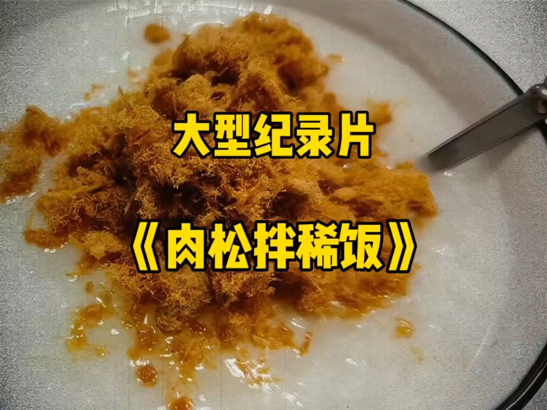 大型纪录片《肉松拌稀饭》哔哩哔哩bilibili