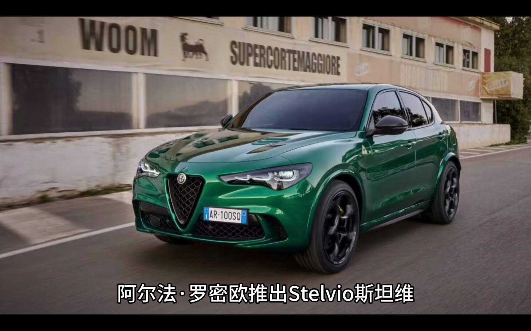 阿尔法罗密欧stelvio斯坦维