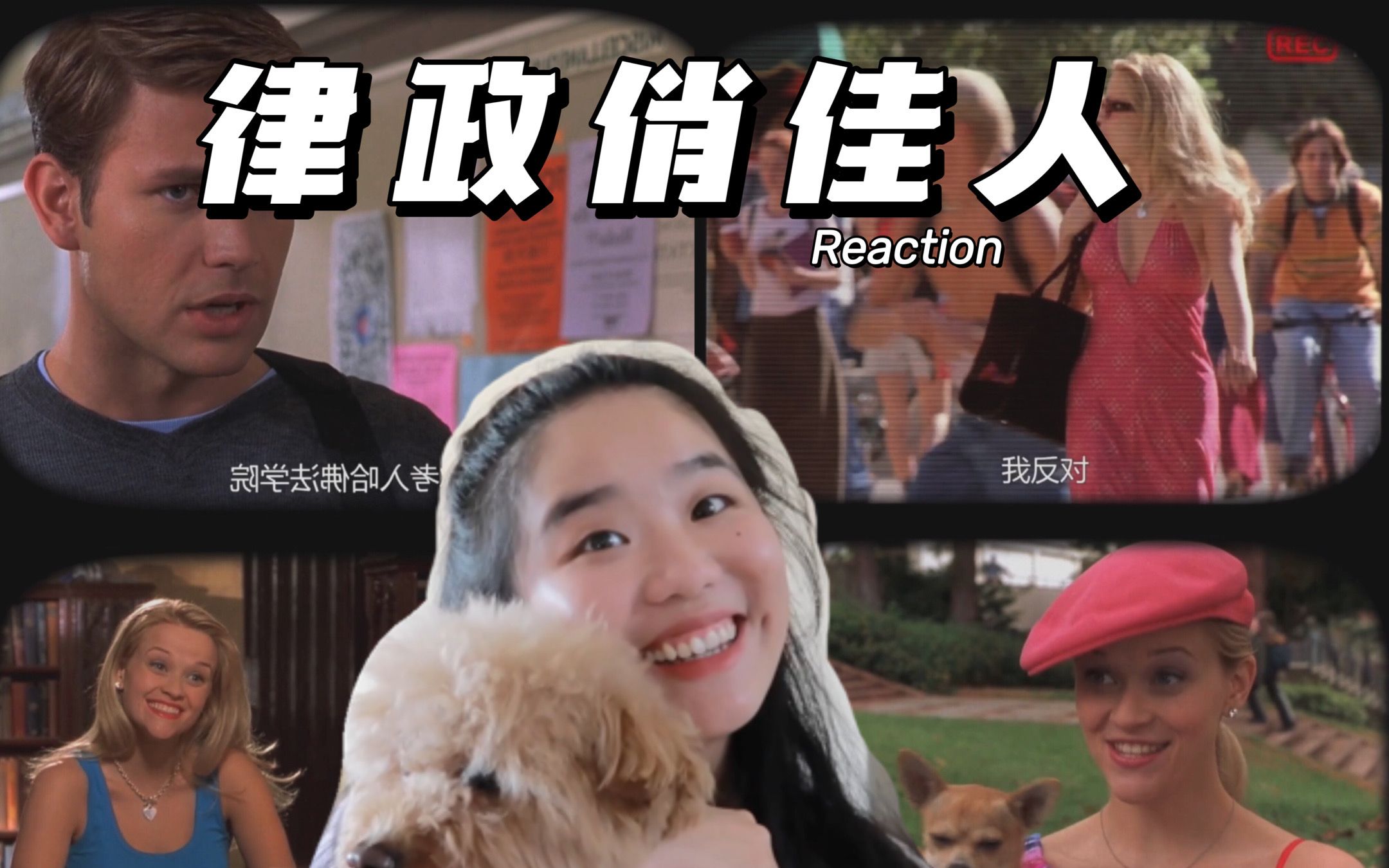 Reaction 𐟑€|和法学生一起看《律政俏佳人》哔哩哔哩bilibili