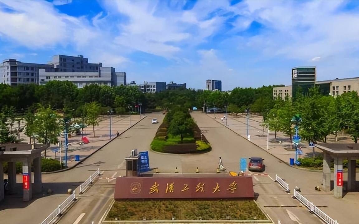 武汉工程大学校园卡图片