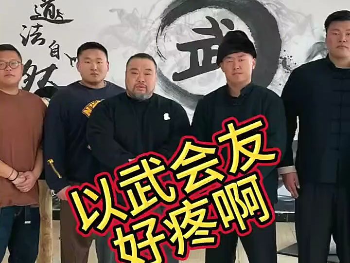 [通背拳鸽武缘弟子] 你们让我去的啊!以武会友,但是好疼啊!哔哩哔哩bilibili