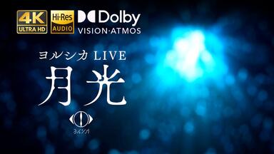 BR_ヨルシカYorushika(vocal：suis) - 夜紛い／LIVE TOUR 2022「月光
