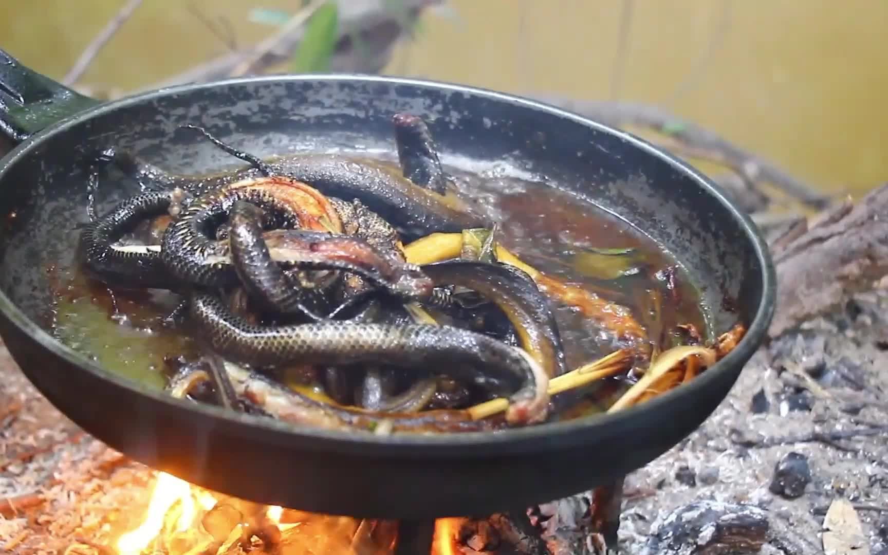 油炸椰子蛇,小哥一口一条!荒野美食,野外生活纪录片!