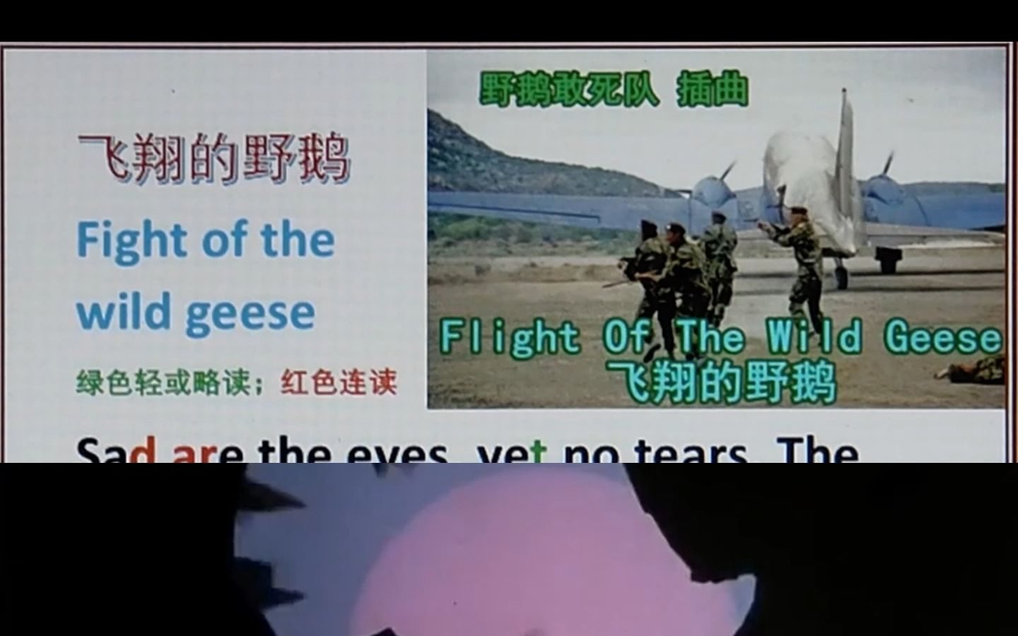 [图]飞翔的野鹅 Flight of the wild geese 野鹅敢死队