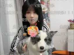 Download Video: 【王晓佳】240831 C宝生日抖音直播（弹幕版全程）