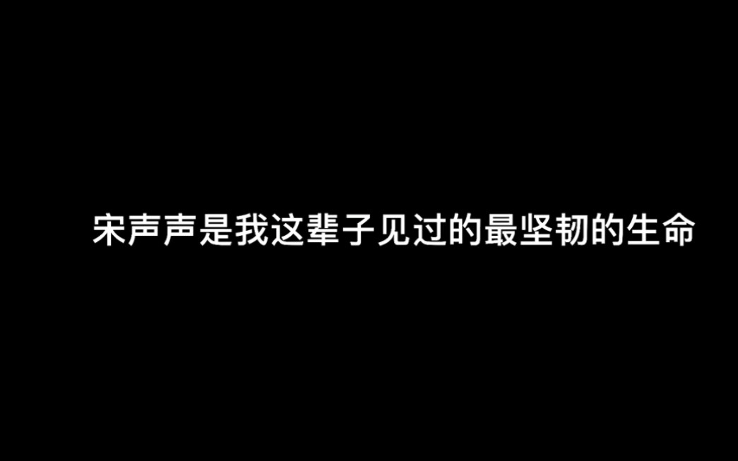 【宋声声】我生于长空,长于烈日,我翱翔于风,从未远去,亲爱的姑娘,请不要为我哭泣.哔哩哔哩bilibili