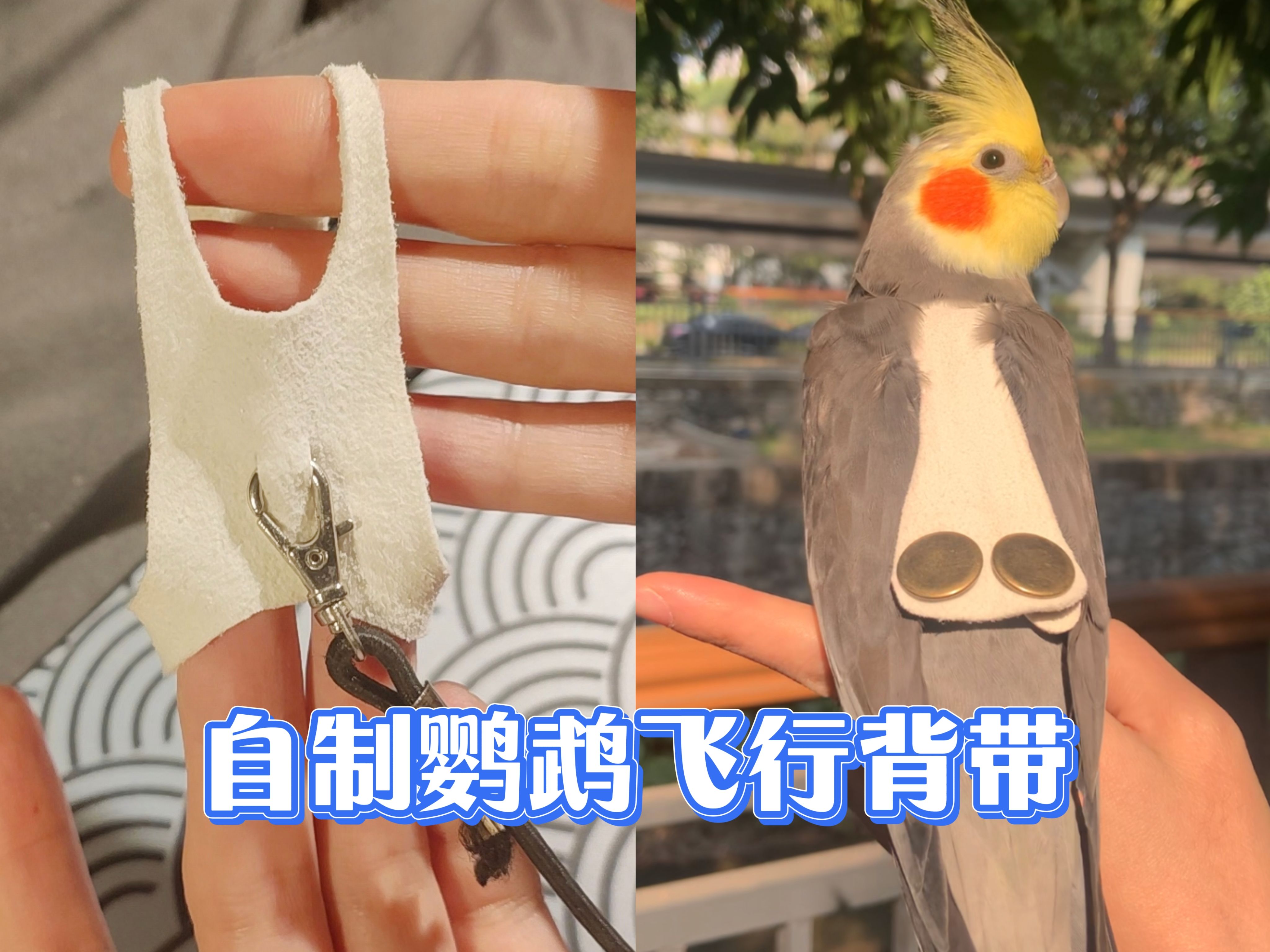 自制鹦鹉外出飞行背带/飞行服教程