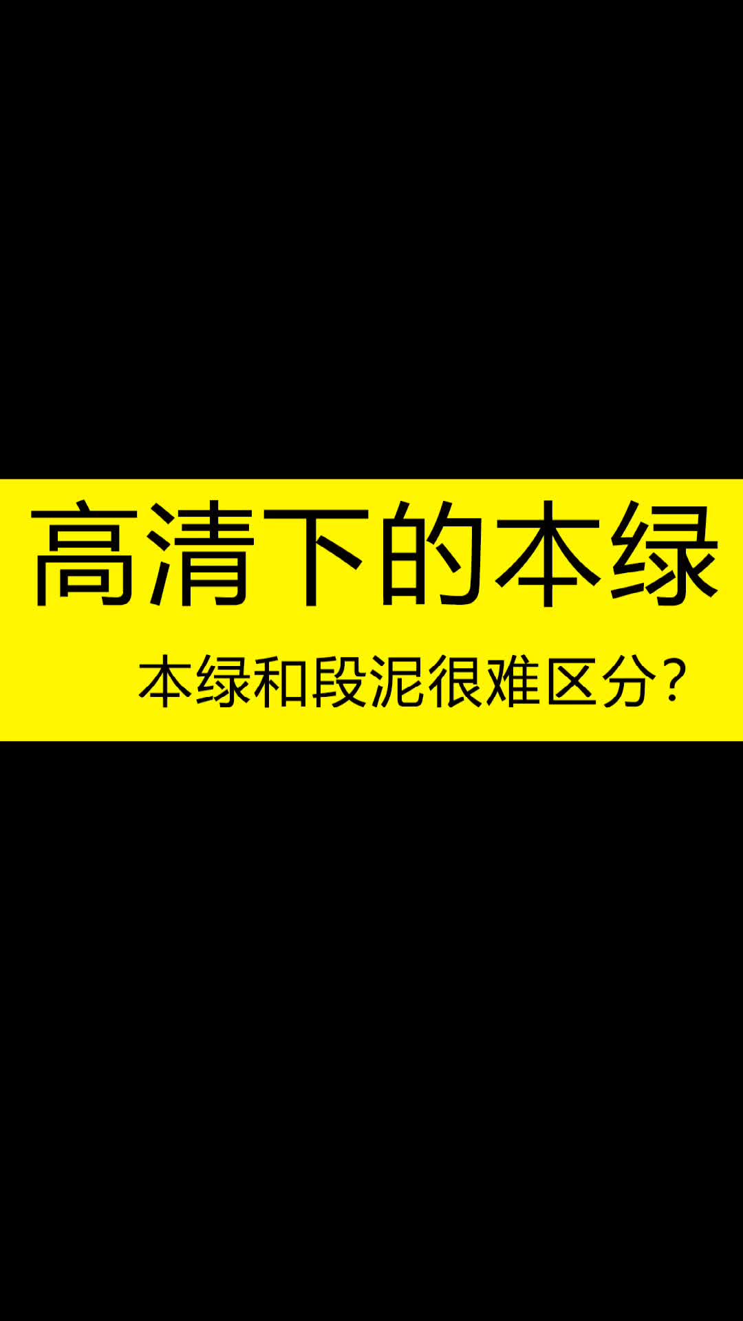 庄庄紫砂:很重要!本山绿泥与段泥辨别,这些点竟然被你忽略!哔哩哔哩bilibili