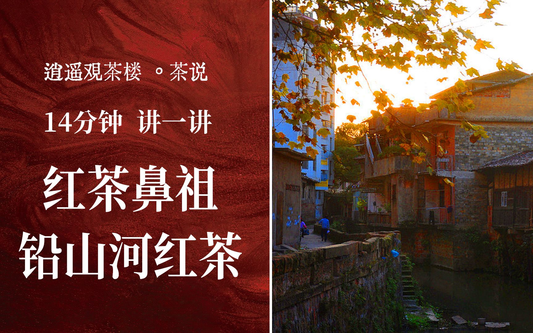 14分钟讲一讲红茶鼻祖—江西铅山河红茶