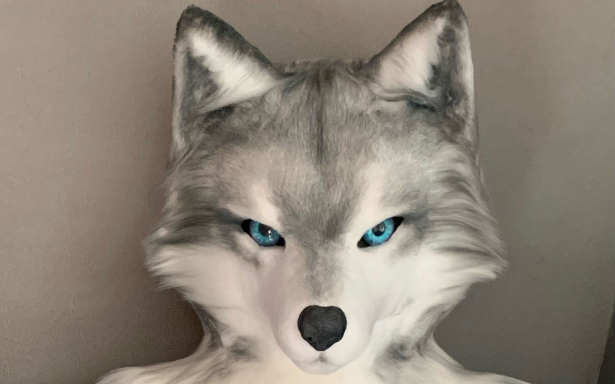 【写实兽装展示】"狼朗"fursuit全装_哔哩哔哩_bilibili