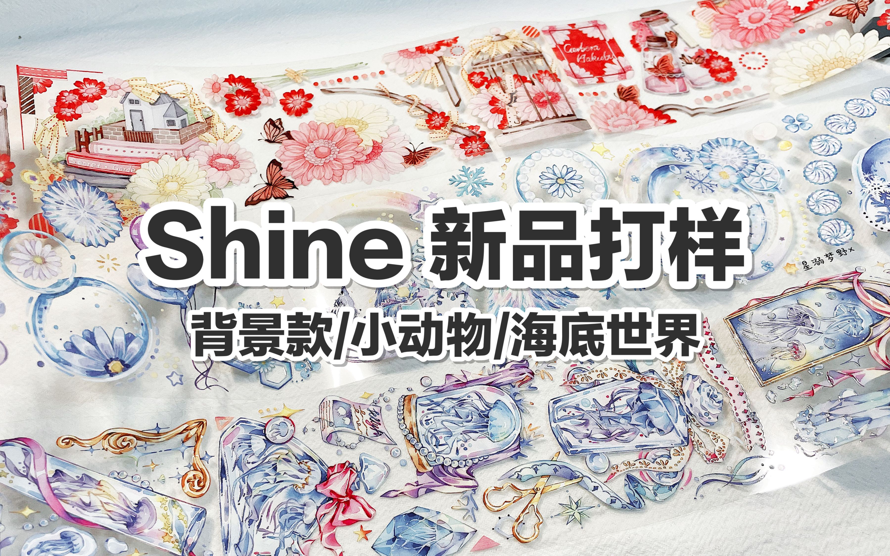 【手帐开箱】Shine手帐工作室 背景款/小动物/海底世界 @三水为淼哔哩哔哩bilibili