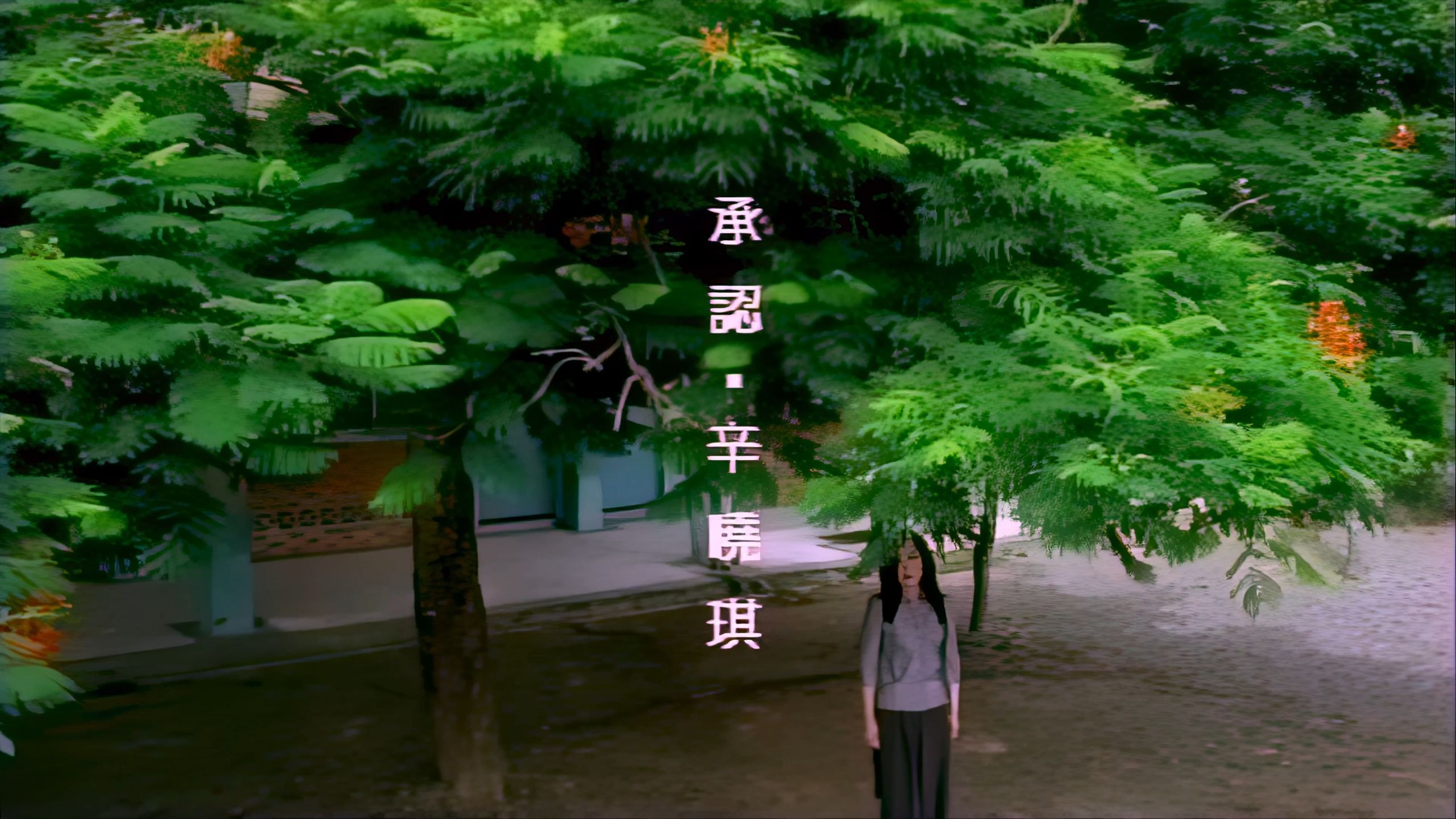 辛晓琪《承认》：情感伤口的温柔和解 原版4K修复版