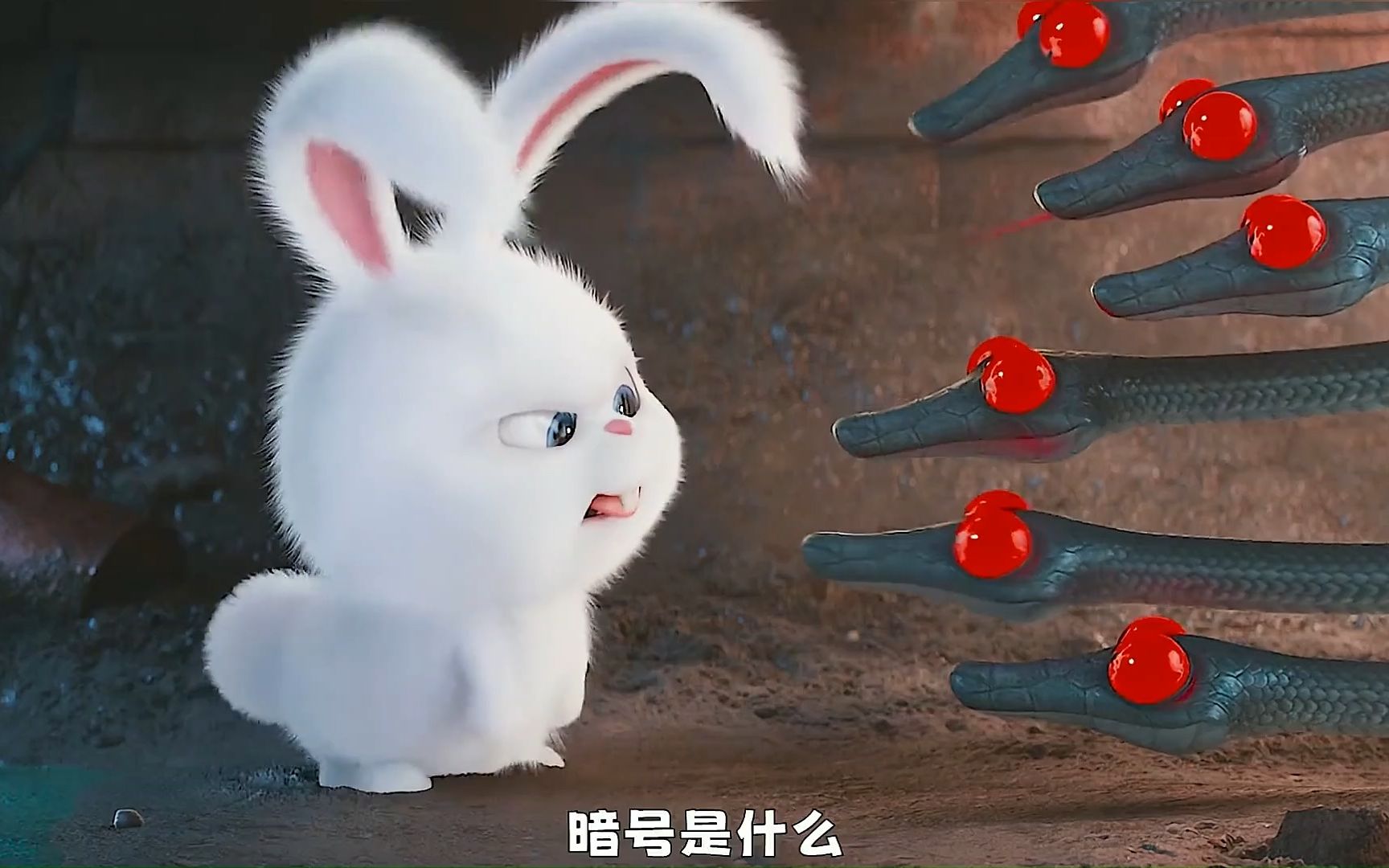 凶狠的兔老大最终沦落为兔宝宝 动画电影 治愈 可爱