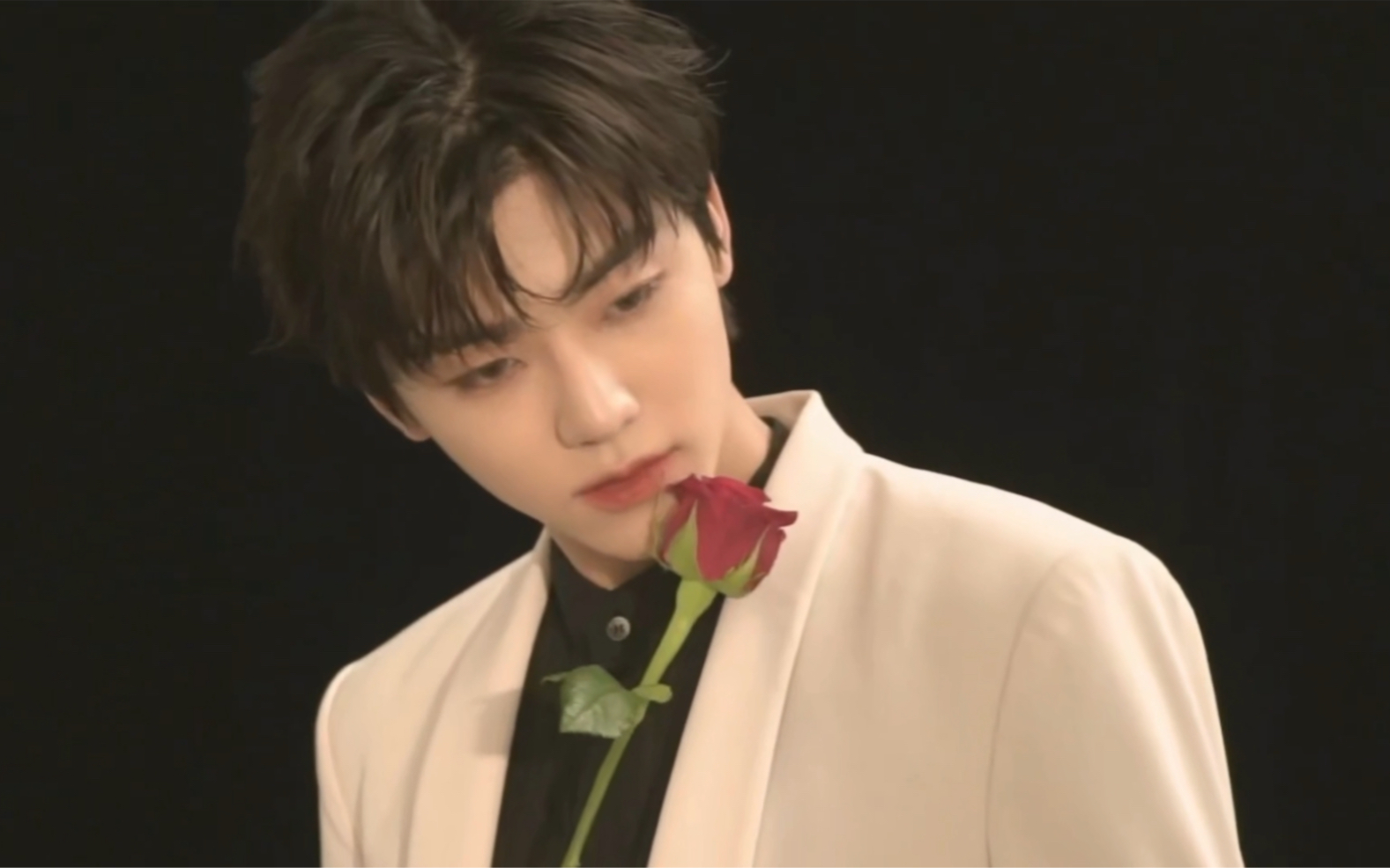 民 子 美 学|罗渽民