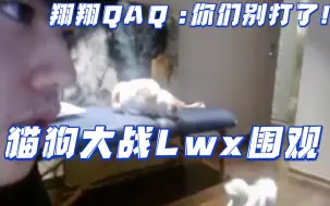 Download Video: 【lwx直播】木木小狗打架翔翔围观：卧槽这猫狗要干起来了!看一下看一下 怎么这么怂啊!怂狗!