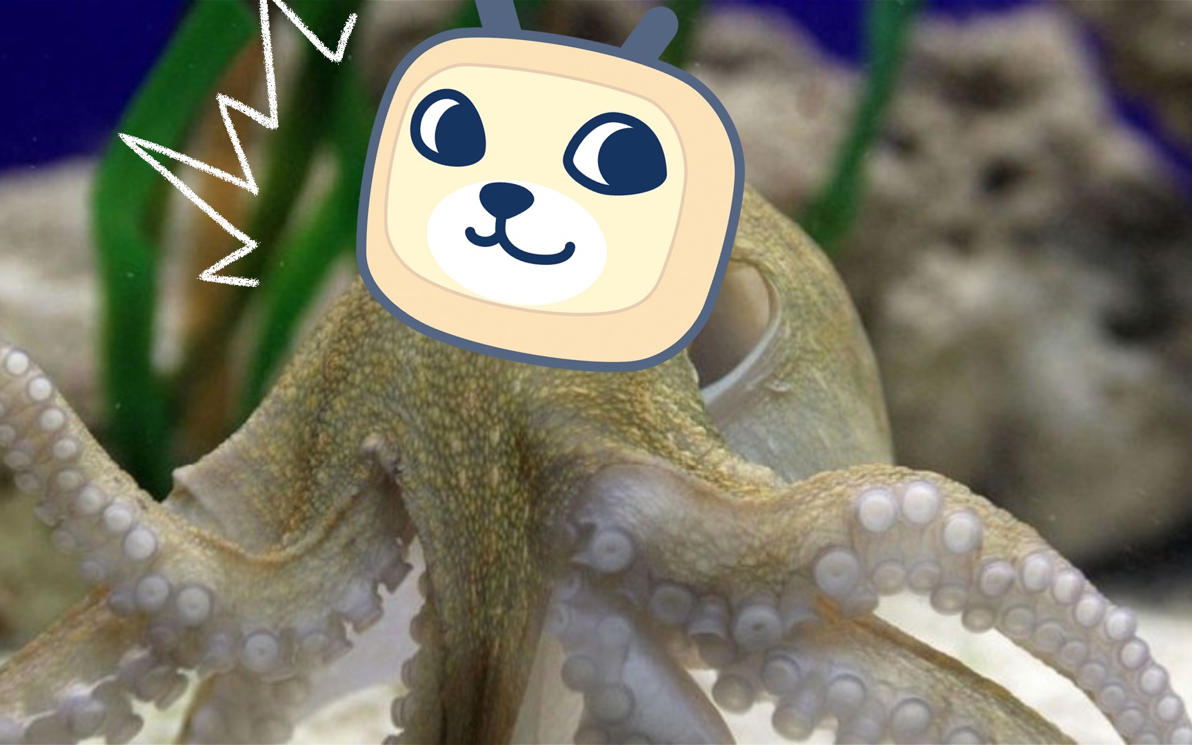 章鱼也能当护士,机器人也能变真人?《章鱼奶爸》_单机游戏热门视频