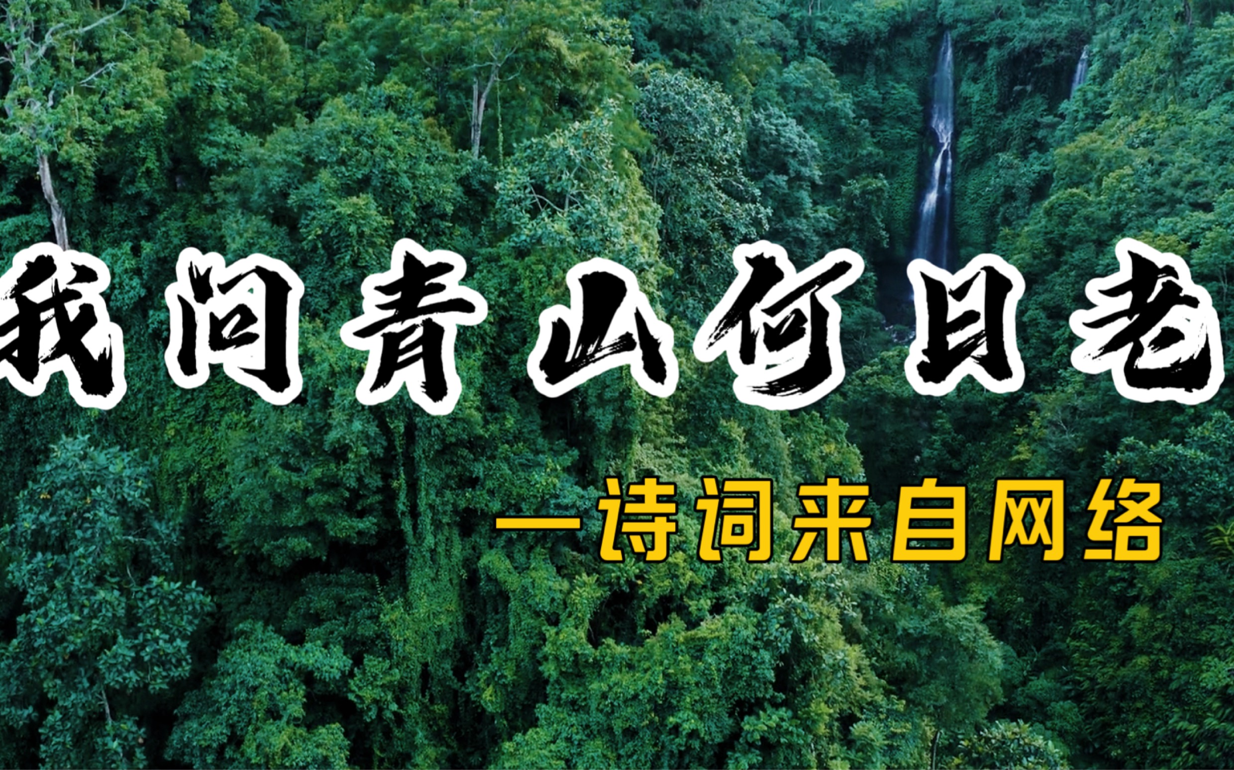 我问青山何日老,青山问我何时闲.