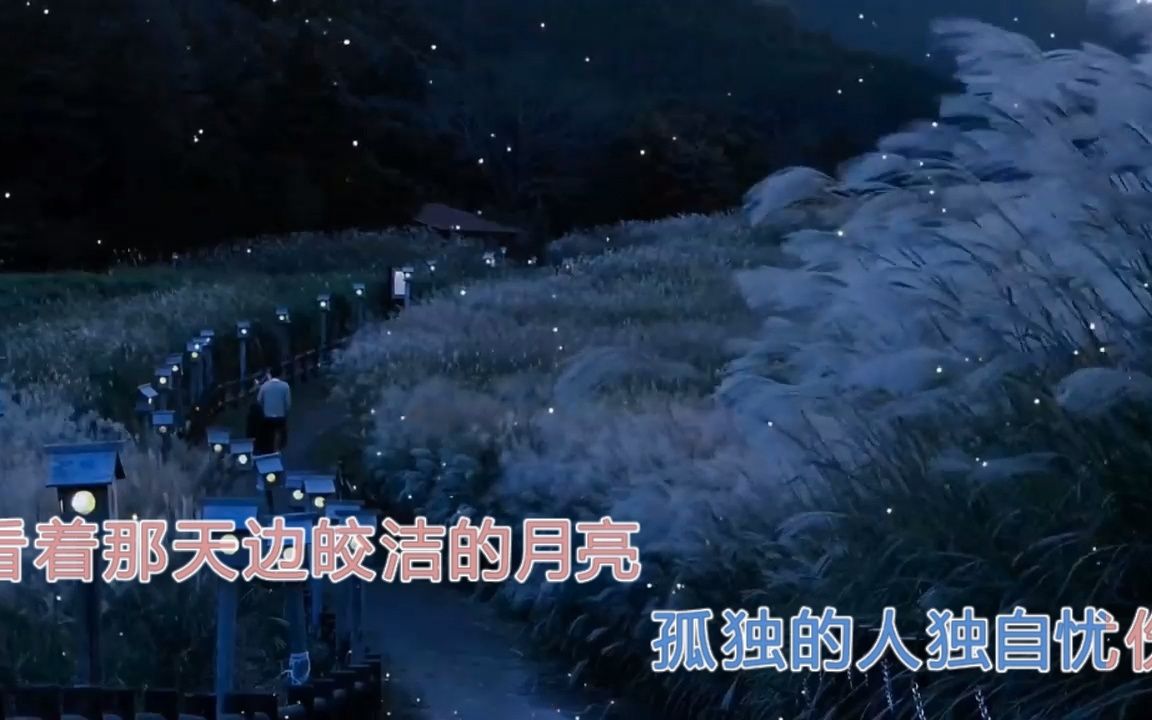 [图]《花月夜》伴奏MV