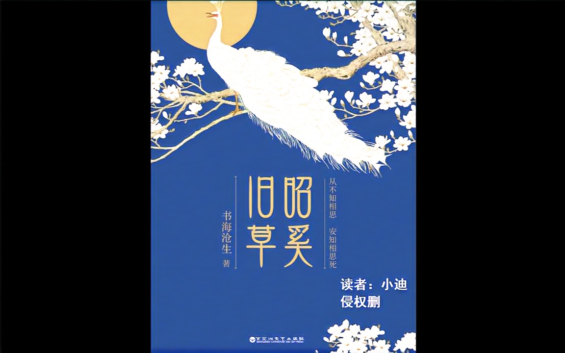 【有声小说】唐迪《昭奚旧草·前传·奚山》_哔哩哔哩 (゜-゜)つロ