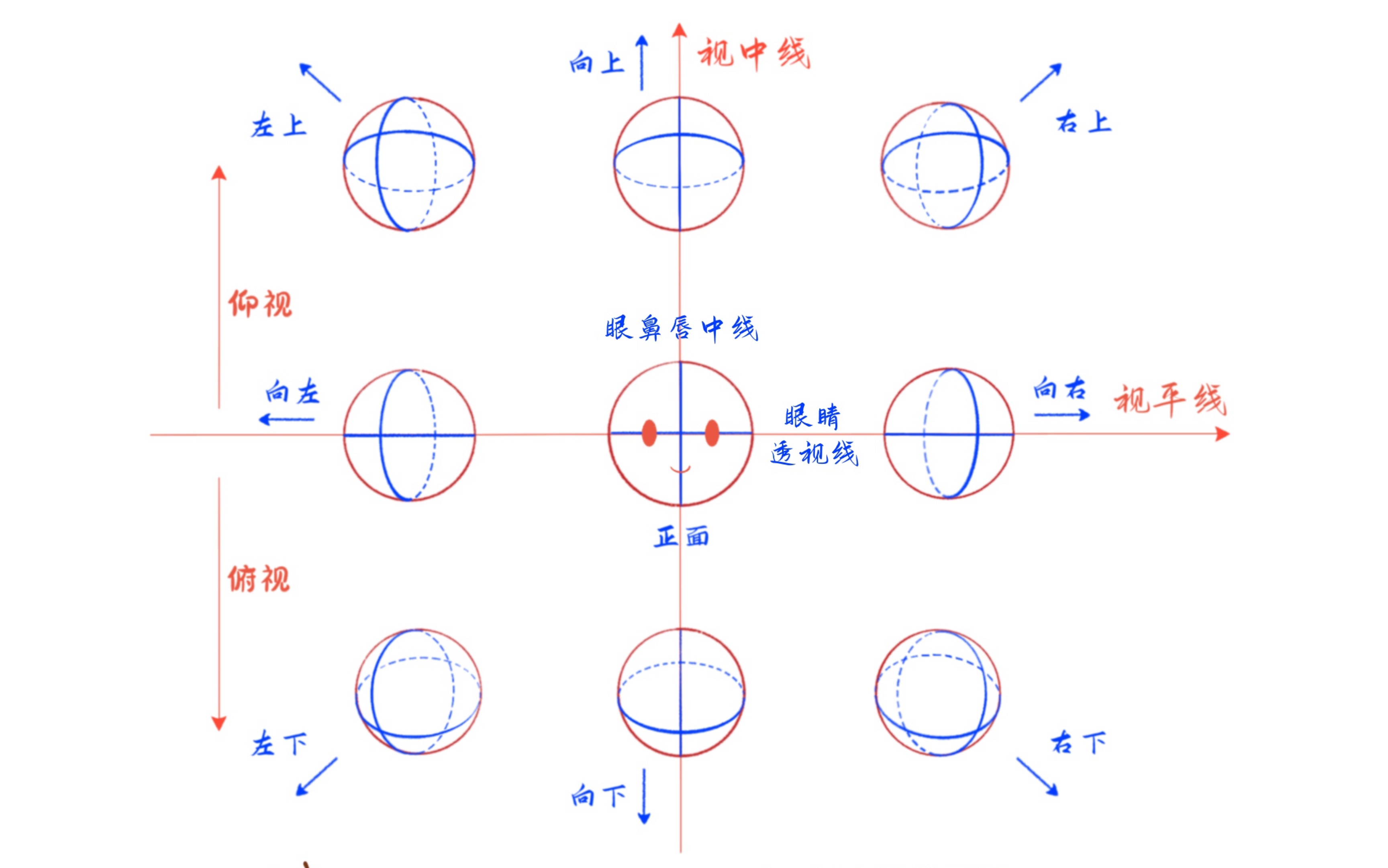 平视、仰视、俯视角度 面部透视线的变化规律哔哩哔哩bilibili