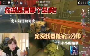 Download Video: 【凉哈皮】这里就一棵草！你倒是排一下啊！宠爱，但是找不到枯草