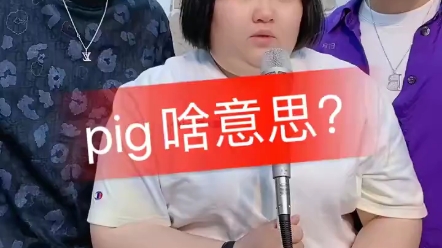 pig啥意思哔哩哔哩bilibili