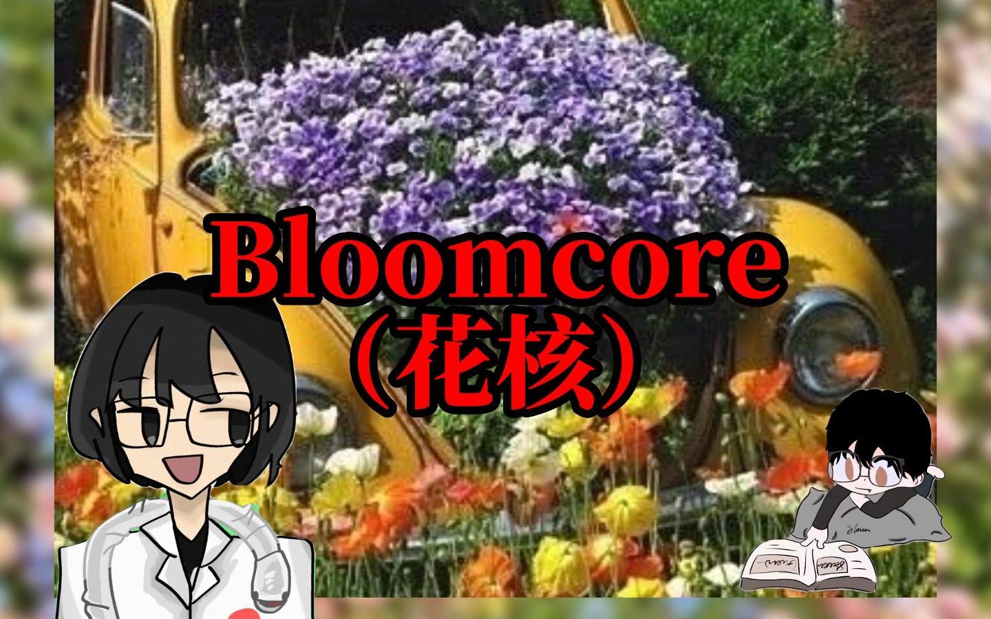 【Bloomcore】花核:当代互联网桃花源哔哩哔哩bilibili