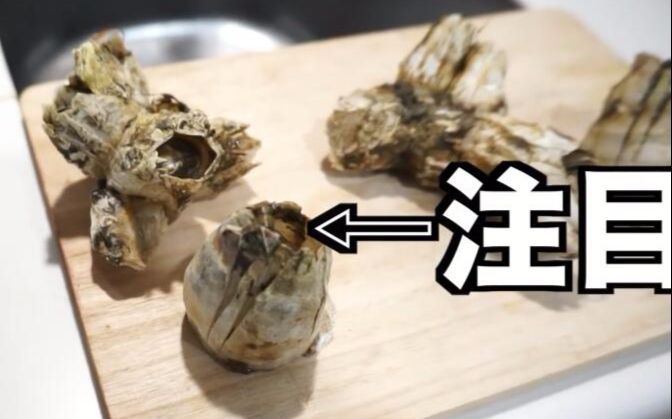 【深夜海鲜食堂】日本小哥要烹饪重口味藤壶怪了!