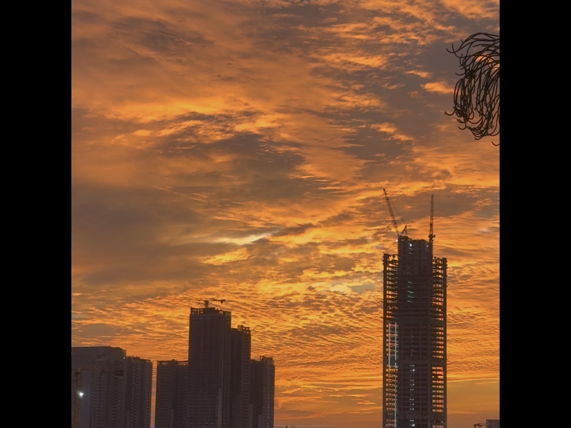 傍晚城市晚霞图片深圳图片