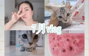 Download Video: 【J谈】7月VLOG 吃肯德基新肉汉堡/你们可以云养猫了/VNC唇膏试色