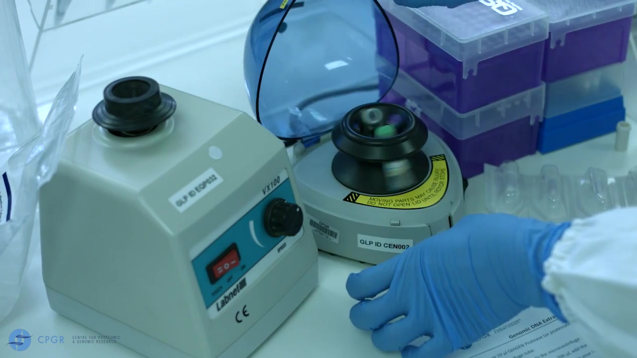 DNA Extraction from Blood Sample