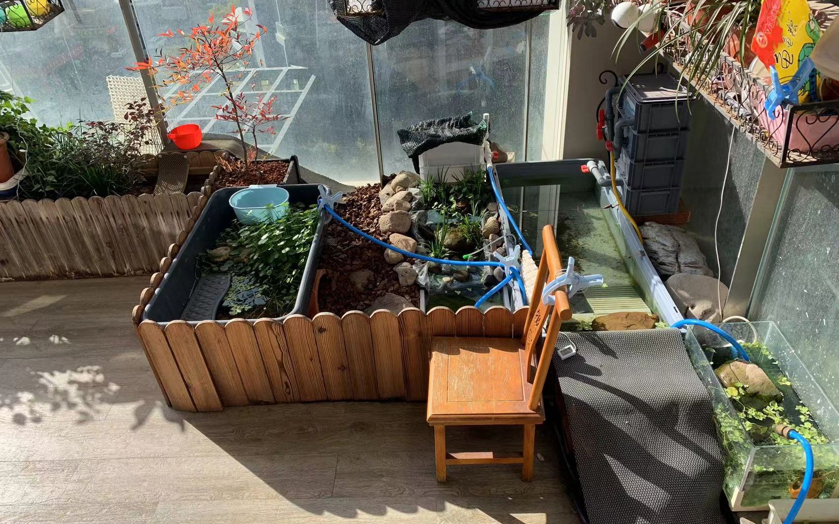 阳台养龟环境_哔哩哔哩_bilibili