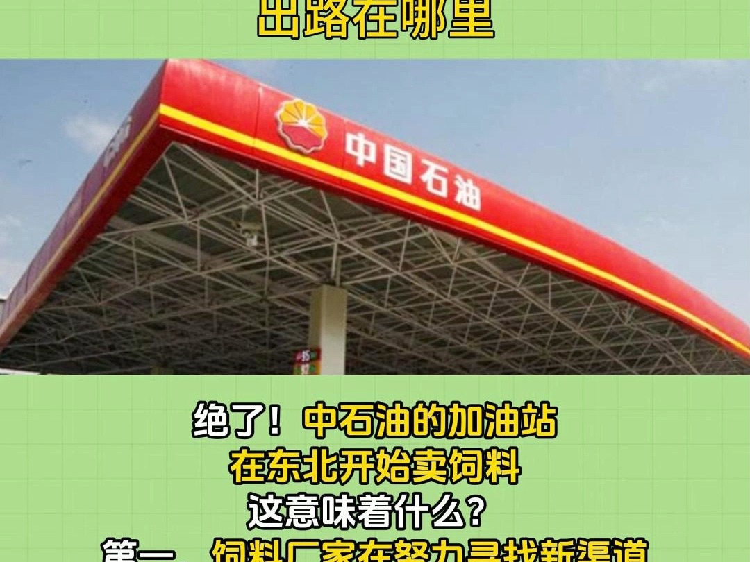 中石油卖饲料?饲料行业面临压力和变局哔哩哔哩bilibili