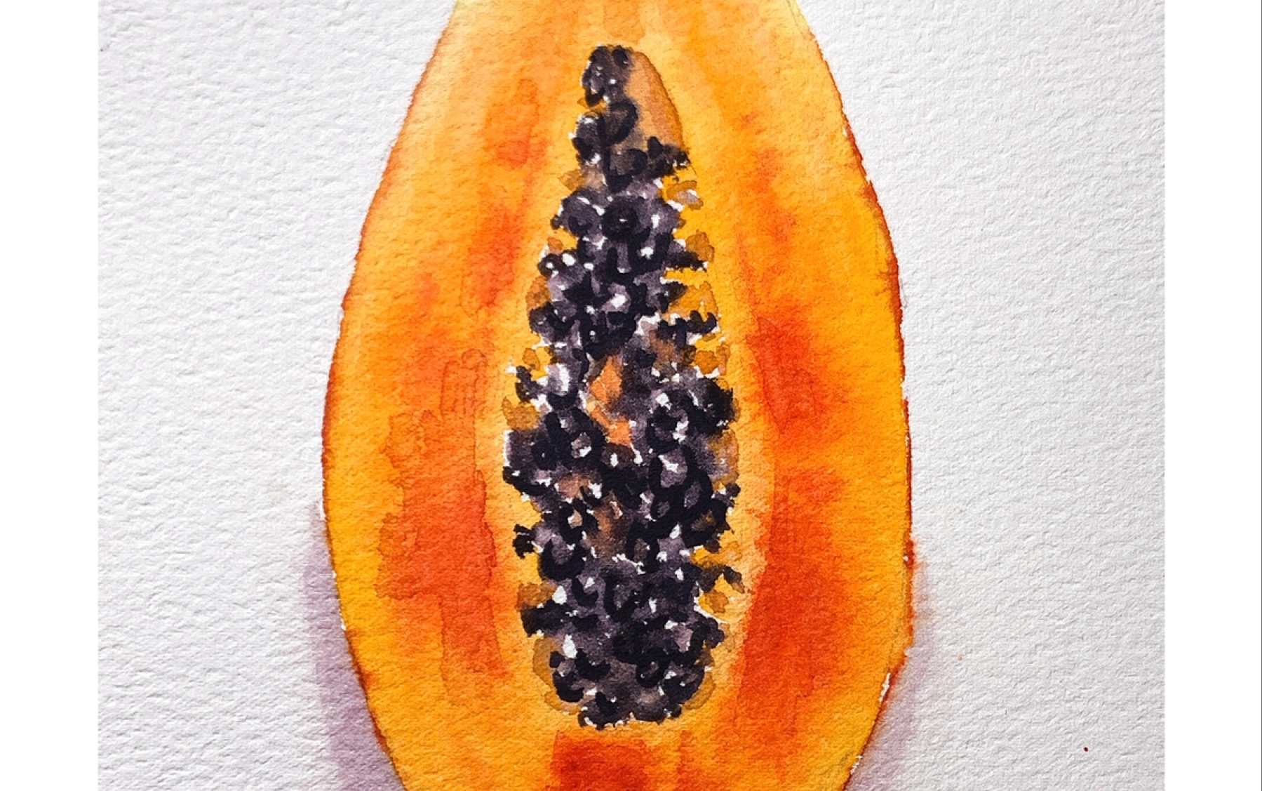 木瓜水彩视频过程