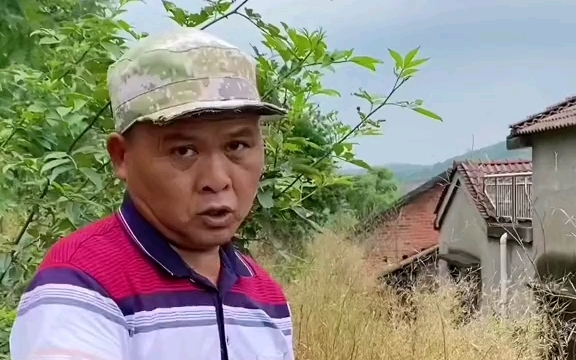 国光环嗪酮杀野竹杂树,耕地和水源附近禁用,高温雨季使用效果才好.#环嗪酮除大树竹子杂草 #国光环嗪酮哔哩哔哩bilibili