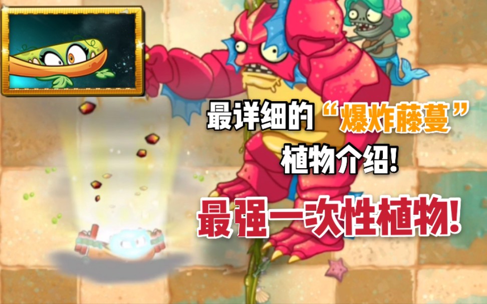 【pvz2】新植物"爆炸藤蔓"植物介绍及史诗任务关卡展示
