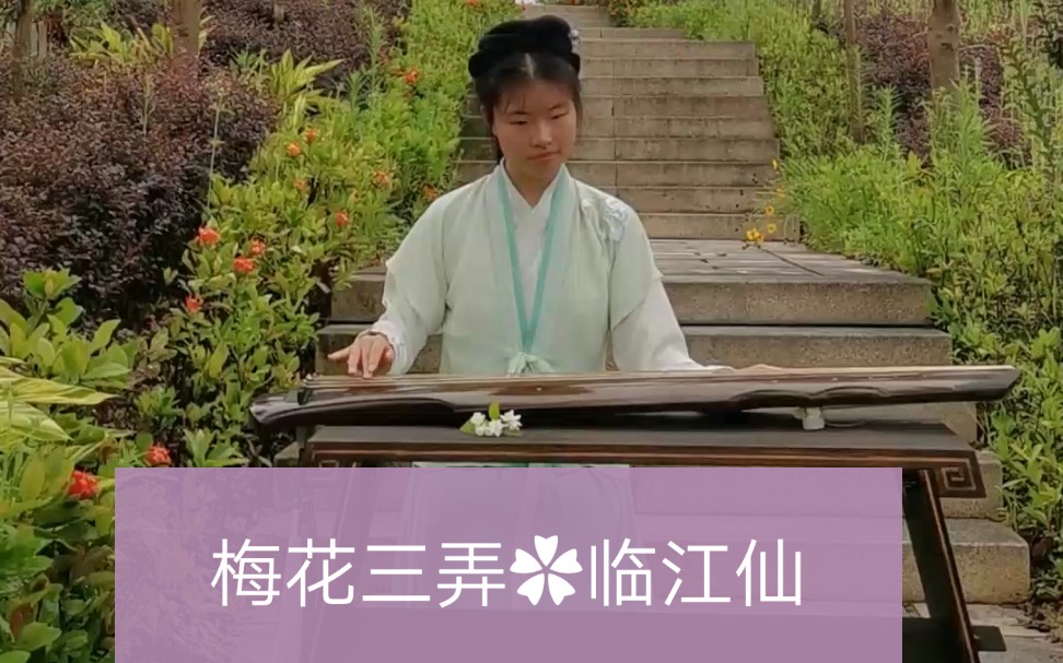 [图]【诗琴花意】梅花三弄♧临江仙 钟鼎山林都是梦