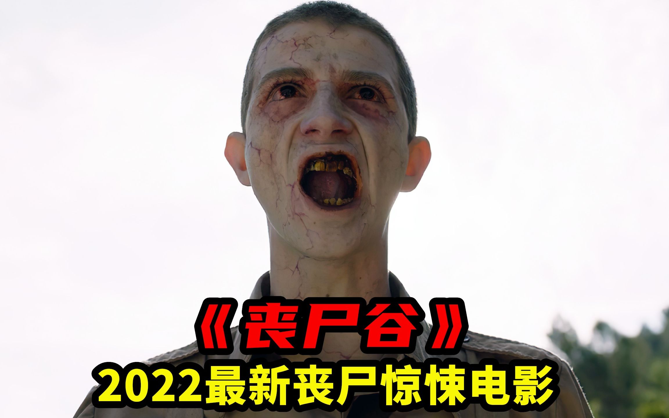 [图]2022最新丧尸电影《死人谷》，军方发明生化病毒，将平民变成丧尸