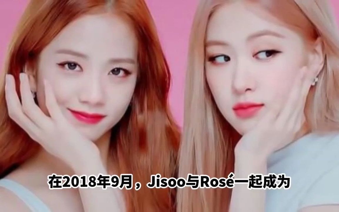 BLACKPINK Jisoo高端奢华的气质到底赚了多少钱!她的净资产有多少呢?哔哩哔哩bilibili