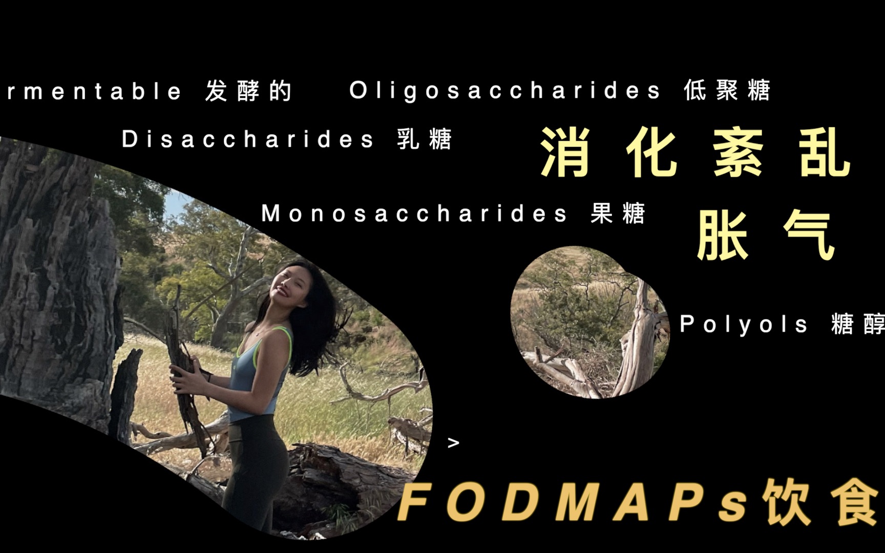 胀气&消化不良?什么是低FODMAPs饮食|肠易激综合症IBS哔哩哔哩bilibili