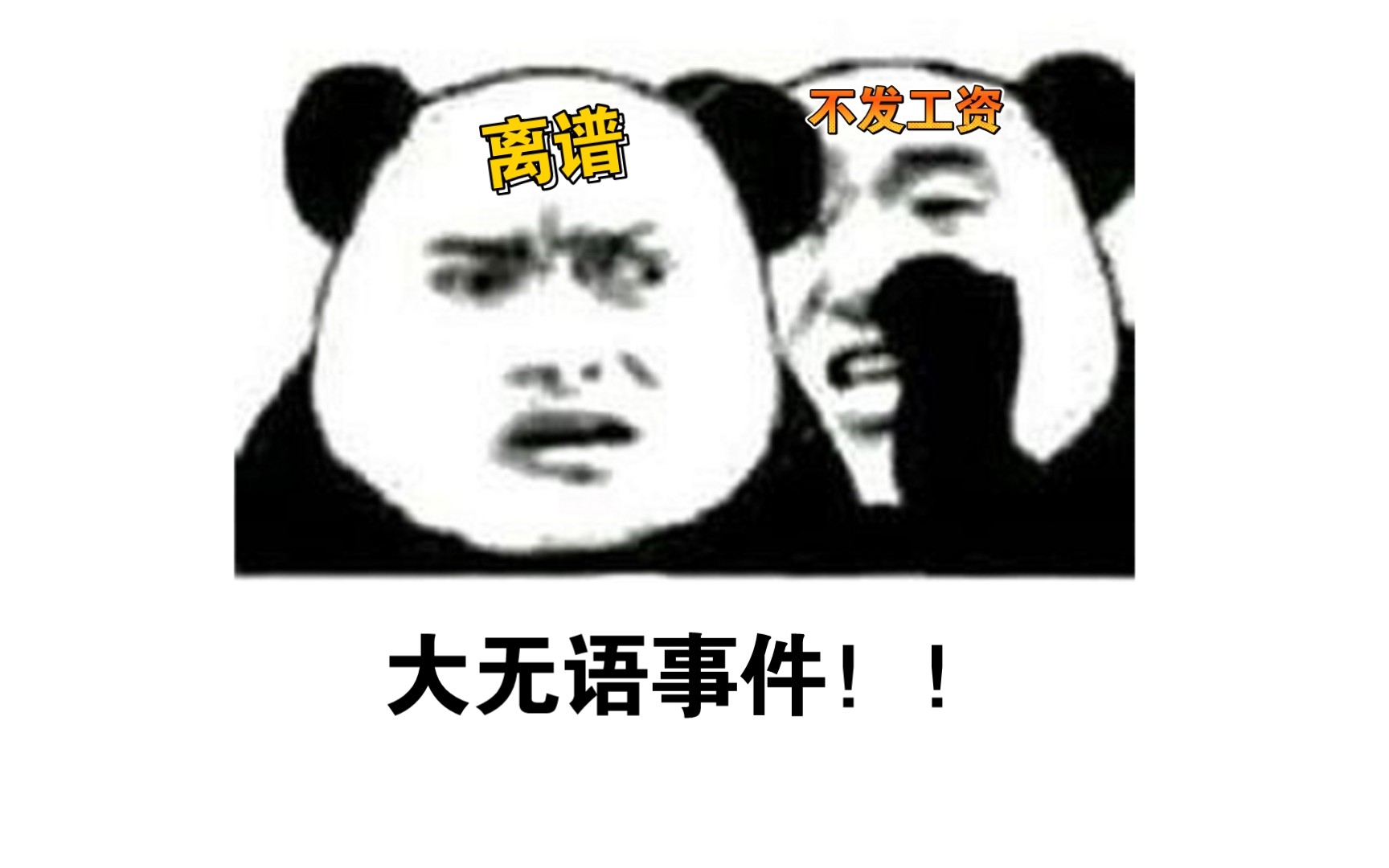 #人才引进#县城事业编#白干了两个月??!不给发工资??介绍信下了才算入职 为什么要让我们提前上班?!!!哔哩哔哩bilibili