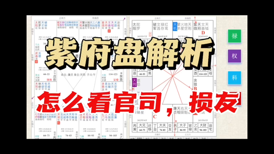 紫府同宫餐饮连锁店老板事业起伏分析哔哩哔哩bilibili