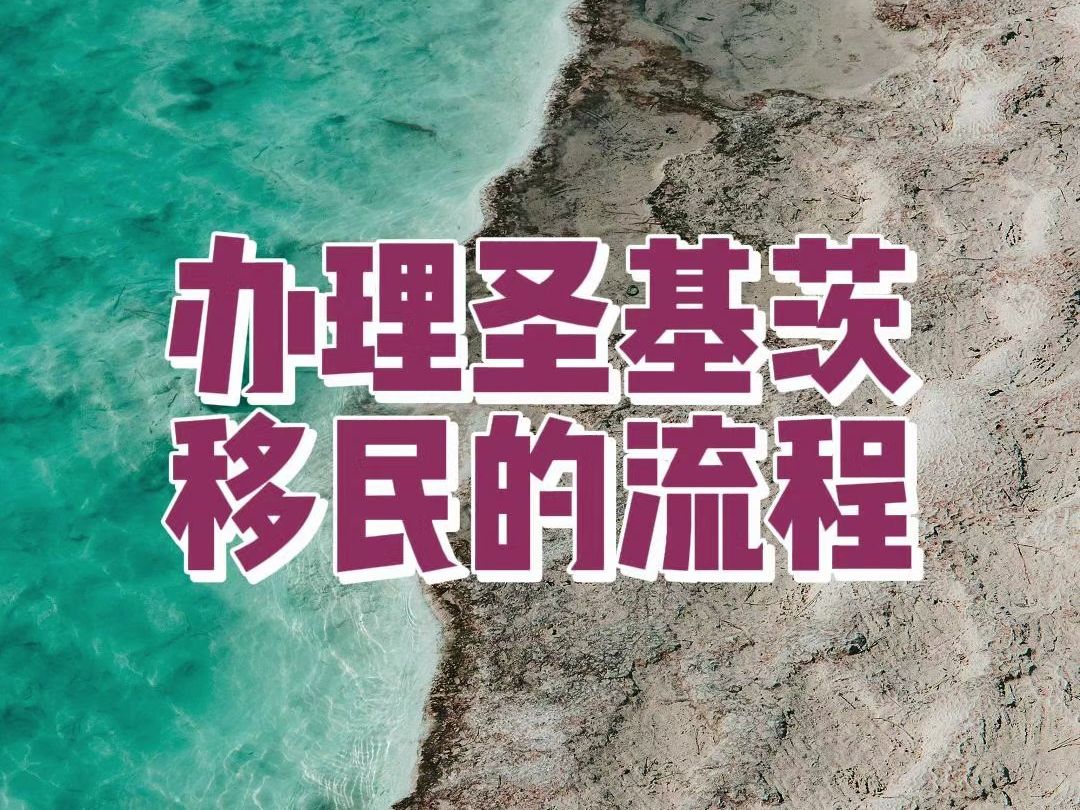 移民圣基茨的流程哔哩哔哩bilibili