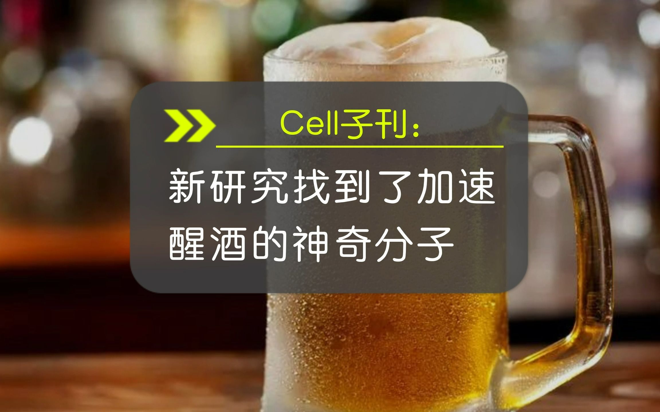 #Brainnews 【前沿快讯】Cell子刊:一针醒酒不是梦?新研究找到了加速醒酒的神奇分子哔哩哔哩bilibili